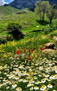 گروه کوهنوردی ائلدیریم