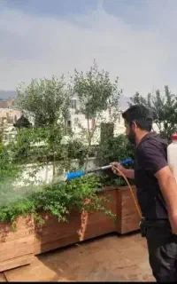 باغبانی و هرس کردن بیل زدن کاشت گیاهان