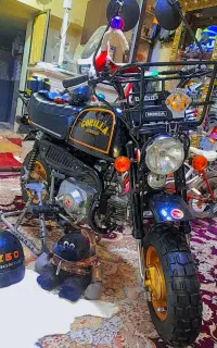 هونداz50 گوریلا کولکسیونی عتیق