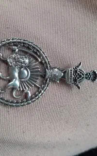 پلاک نقره شیر خورشید