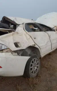 سمند سورن معمولی