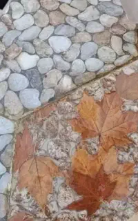 نظافت داخل منزل اپارتمان وکارهای نظافت ویلاوغیره