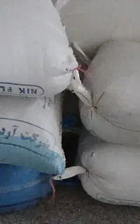 گاودانه وسیاه دانه