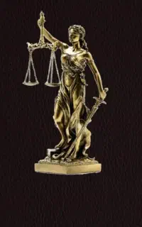 وکیل دادگستری/ پایه یک