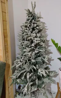 درخت کریسمس