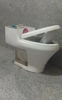 توالت فرنگی