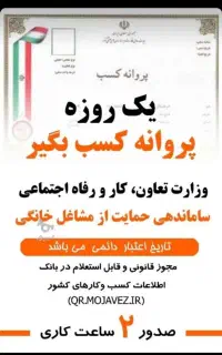 صدور پروانه کسب خانگی