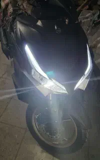 توسن آیروکس مشکی طلایی رنگ خاص