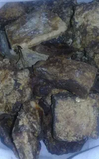 تلف گوسفند