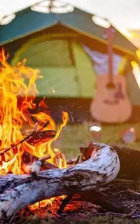 تور ویژه یک نفر