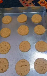 آموزش زنجبیلی