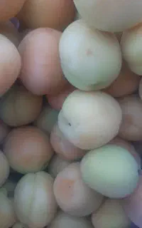 فروشنده یا شراکتی