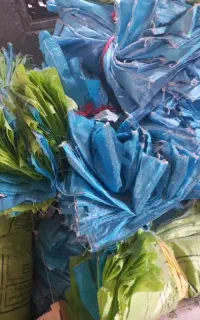 کیسه خالی
