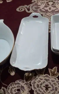 ظروف پذیرایی