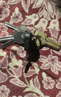 پیداشده