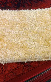 دوتا پادری خردلی