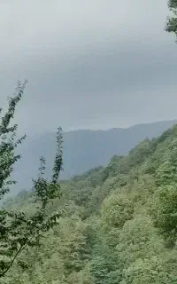 به اکیپ گچکاری نیازمندیم