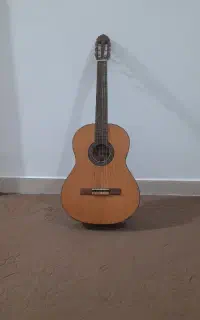 فروش گیتار