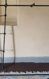 رگال