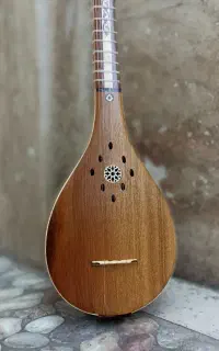 ساز ویژه کاسه گردو