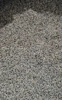 بذر درمانی