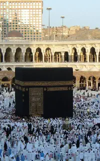 فروش فیش حج تمتع اسفند 86