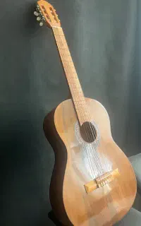 فروش گیتار