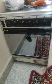 فرگاز