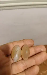 مهره برد
