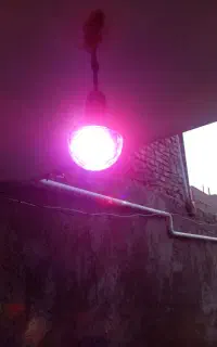 لامپ رقص نور