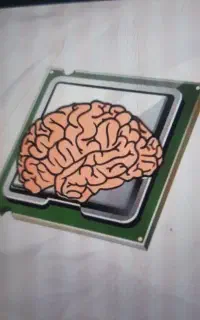 سی پی یو 13100F