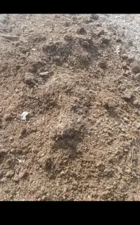 کود حیوانی (پهن) گوسفند