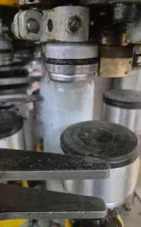 استخدام خانم خوراک دام کنسروی