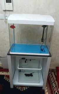 آکواریوم شرکتی کامل