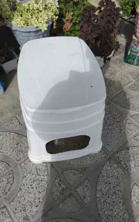 توالت فرنگی