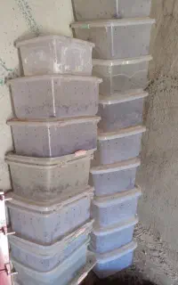 جعبه