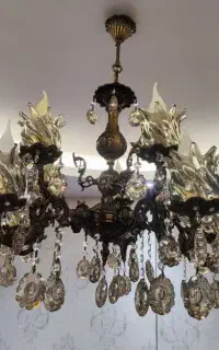 لوستربرنز دوعددهرکدام5شاخه