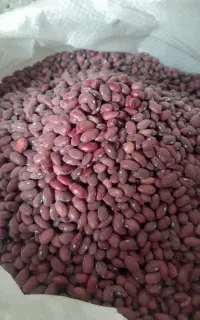 فروش حبوبات