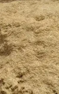 کاه خرد شده گندم