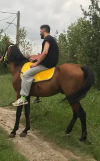 اسب