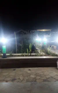 باغ زیبا ودنج