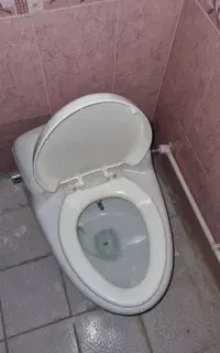 توالت فرنگی