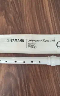 فلوت درحد نو