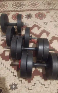 دمبل