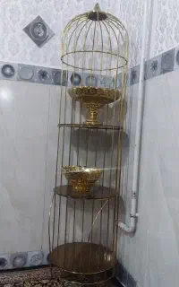 استندطلایی به همراه وسایلش