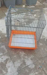 چهارتا قفس بزرگ