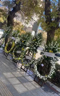 شاگرد گلفروشی با حقوق خوب