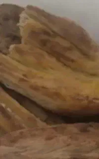 نون خشک بدون کپک