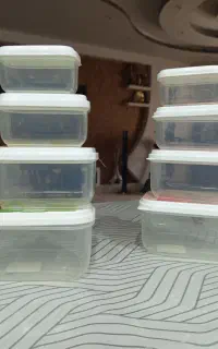 طرف چهار تیکه