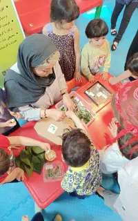 سرگرمی بچه ها پروانه،کرم  ابریشم